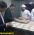 گشت مشترک بازرسی و نظارت بر واحدهای صنفی نانوایی در علی آبادکتول