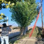 بازسازی شبکه مخابرات در پی سرقت کابل در شهرک صنعتی علی‌آباد کتول